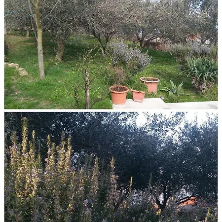 Apartma Ivan Apartment