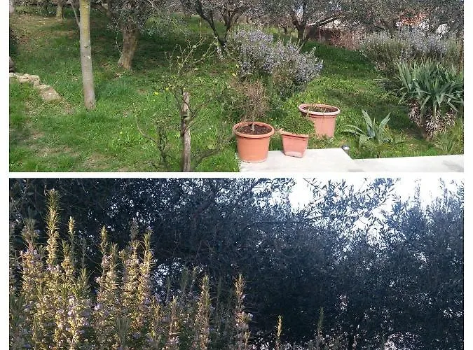 Apartma Ivan Διαμέρισμα